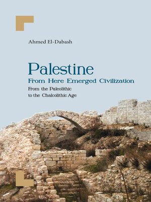 cover image of Palestine